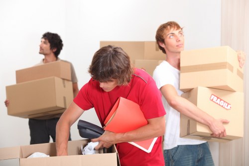 Seasonal household items arranged for storage in Chingford